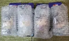 一番くじ 幽☆遊☆白書 暗黒武術会編 vol.3 F賞 SOFVICちゅ 全4種