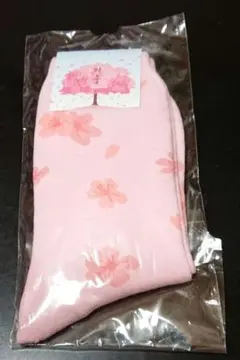 チャン・グンソク・グッズ/桜の花柄ピンクソックス