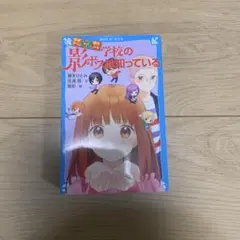 探偵チームKZ事件ノート　学校の影ボスは知っている