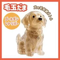 Item thumbnail for item 2056ac5d-29e8-436d-9109-7ea5d9af1df9