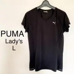 Item thumbnail for item 3d8072ed-ecf4-4571-adec-31fc22221ce7