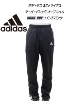 Item thumbnail for item 812cc180-93aa-486e-9921-3db4fabe9d78