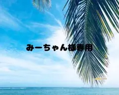 みーちゃん様専用