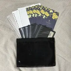 Item thumbnail for item 5ab5c1e4-7ed2-4f18-a3fd-489423807bbe