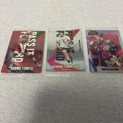 バレーボール ウエハースカード