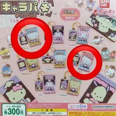 サンリオキャラクター　キャラパキチョコレートミニチュアコレクション　2種