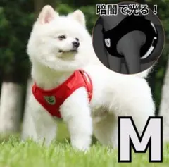 Item thumbnail for item d93f159e-b8e0-4b9f-adf1-c64679f6c9b5