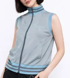 Item thumbnail for item 1aa3a971-c029-44e9-aea4-38ff50d1ea05