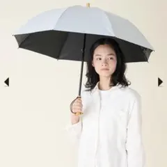 2025年最新】サンバリア100 2段折の人気アイテム - メルカリ