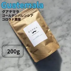 グアテマラ 300g 自家焙煎 コーヒー豆 珈琲