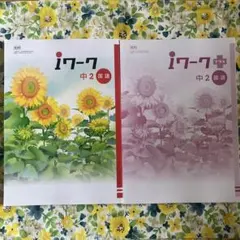 お買い得！I ワーク　中２　国語　➕プラス（解答付き）　2冊セット
