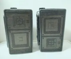 ☆希少☆AAD Q-10 2ウェイスピーカー☆奇才 フィル・ジョーンズ 動作品