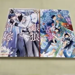 BL小説 2冊 まとめ売り