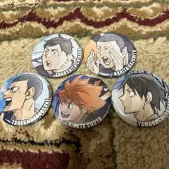 劇場版ハイキュー‼︎ゴミ捨て場の決戦　キャラバッジコレクションA烏野セット