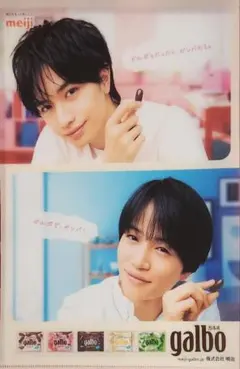 ☆未使用☆　明治ガルボ　クリアファイル　セクゾ　中島健人　菊池風磨