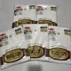 GUNZE 快適工房 半袖V首 LL 5枚セット
