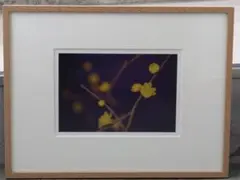 Item thumbnail for item 373bc9d6-bd97-4c82-a326-e65ac9384992