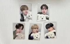 VERIVERY　ベリベリ　トレカ