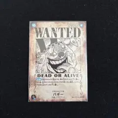 新たなる皇帝 バギー R SP 手配書