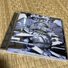 【新品】Stray Kids GANT