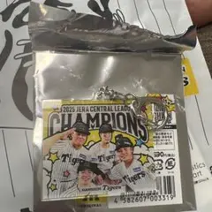 阪神タイガース優勝記念　シークレットアクリルキーホルダー中野　前川　佐藤　小野寺