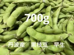兵庫県産 丹波黒豆 枝豆 抜き苗 5本 固定種苗 実生苗 苗 農薬不使用