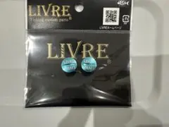 Item thumbnail for item d3f5a6e9-0f3d-4fcc-9085-b35c0289abcb