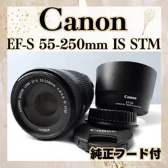 豪華フルセット】Canon 55-250mm IS STM かなり美品 - メルカリ