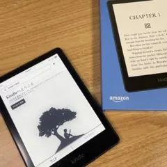 2026年最新】KIndle paperwhite 11世代 32gbの人気アイテム - メルカリ