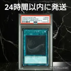 【鑑定品 PSA10 】　極美品　最安値　世界110枚　ハーピィの羽根帚　ホロ 鑑定品 PSA10 】 極美品 最安値 世界110枚 ハーピィの羽根帚 ホロ