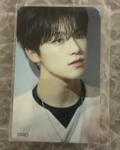 SEVENTEEN 舞い落ちる花びら HMV特典 ディノ DINO