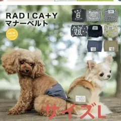 RADICA+Y 犬用　マナーベルト マナーバンド マーキング防止