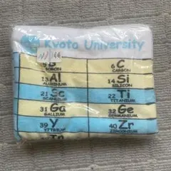 Item thumbnail for item 637b019f-e685-4e88-a0ee-748ecb47a944