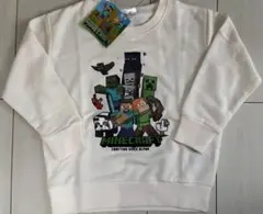 マインクラフト トレーナー