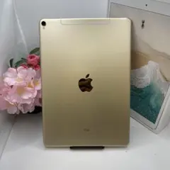 iPad Pro 10.5インチ セルラー