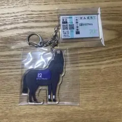 ウェルカムチャンス　エイシンフラッシュ