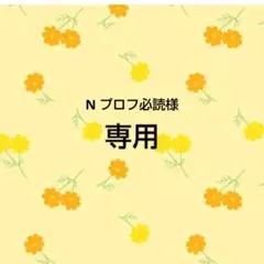 N プロフ必読様　専用出品