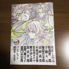鬼滅の刃 映画入場特典 パンフレット副読本鬼殺隊編