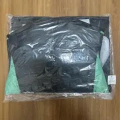 Item thumbnail for item b0fa63dd-690c-401c-9f32-a73002fdf24c