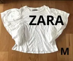 Item thumbnail for item b48bb05f-3cdc-4d99-b0ea-b9d60dfaa7cc