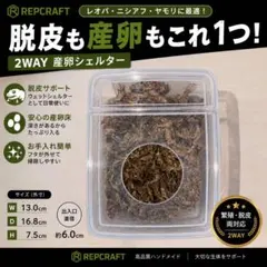爬虫類 産卵床のサムネイル