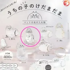 うちの子のけだまだま 猫のけだまだま第二弾 アメショ