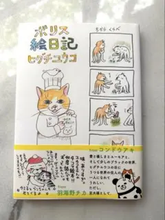 【新品未使用】ボリス絵日記　ヒグチユウコ