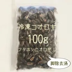 特価　訳アリ　冷凍コオロギ 約1.5キロ　袋入り 特価 訳アリ 冷凍コオロギ 約1.5キロ 袋入り - メルカリ