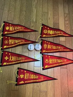 2026年最新】東洋大姫路野球の人気アイテム - メルカリ