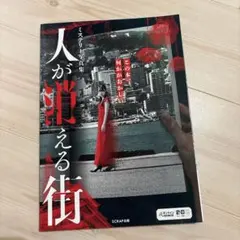 即日発送　ミステリー写真集 人が消える街