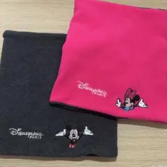 ペア2個セット　ディズニーランドパリ　ネックウォーマー