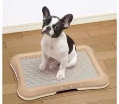 Item thumbnail for item 24c64f4a-db71-4f83-8108-240f95c91332