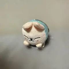 gigo skzoo Foxl.ny アイエン くっつきぬいぐるみ スキズ