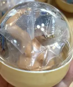 体格ブラザーズ ビッグボディ コレクション ガチャ